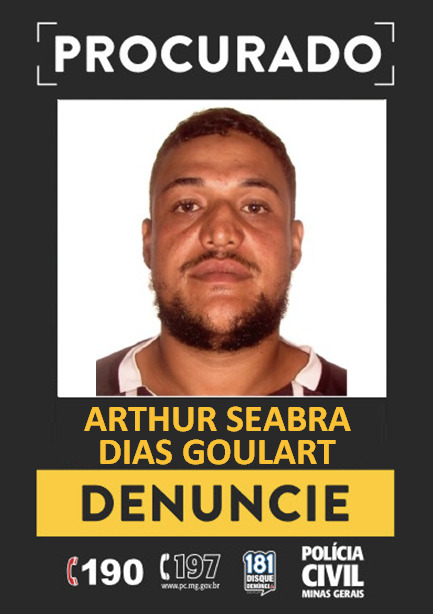 ARTHUR SEABRA DIAS GOULART